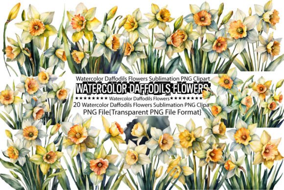 Download Watercolor Daffodils Flowers Sublimation - Watercolor Collection