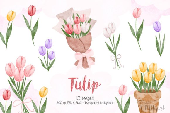 Download Watercolor Illustration Set of Tulip - Watercolor Collection