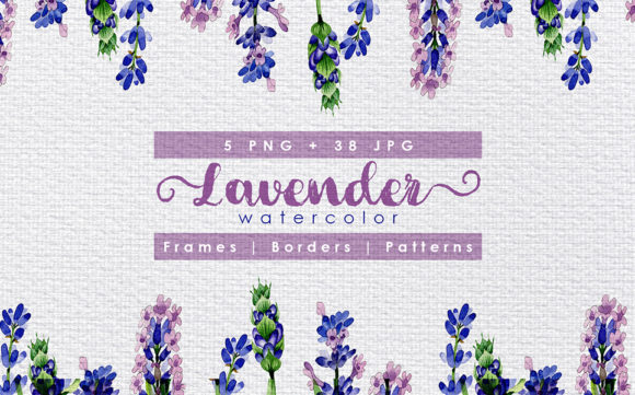Download Holiday Purple Lavender Flowers Watercolor Set - Watercolor Collection