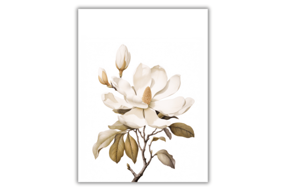 Download Watercolor Magnolia Flower- Art Print - Watercolor Collection