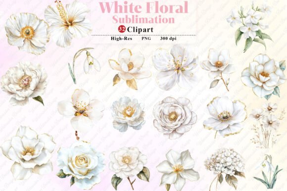 Download Watercolor White Floral Clipart - Watercolor Collection