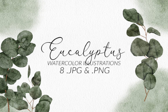 Download Eucalyptus Watercolor Illustration Set - Watercolor Collection