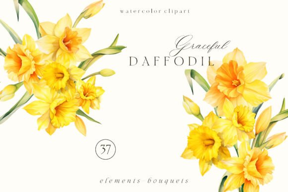 Download Watercolor Daffodil Clipart PNG - Watercolor Collection