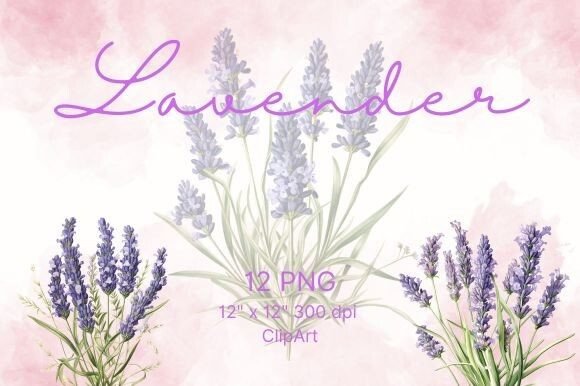 Download Lavender Flower Watercolor - Watercolor Collection