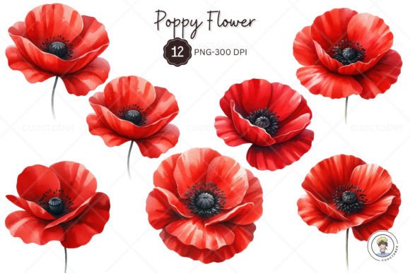 Download Watercolor Red Poppy Flower Clipart - Watercolor Collection