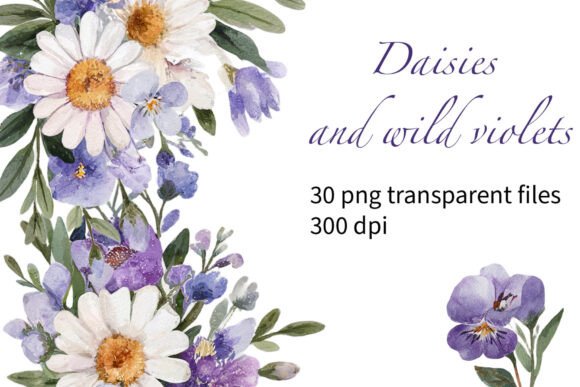 Download Watercolour Daisies and Violets - Daisies Collection