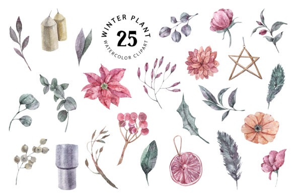 Download Christmas Watercolor Plants Clipart - Watercolor Collection