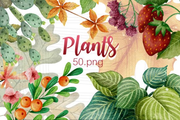 Download Watercolor Plants - Watercolor Collection