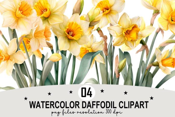 Download Watercolor Daffodil Clipart - Watercolor Collection