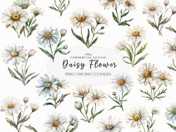 Download Daisy Flower Clipart, Watercolor Daisy - Watercolor Collection