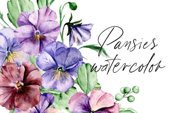 Download Watercolor Flowers Pansies Set. - Watercolor Collection