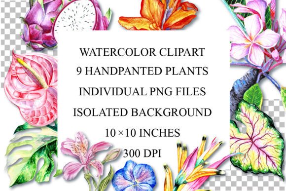 Download Watercolor Plants Clipart, PNG - Watercolor Collection