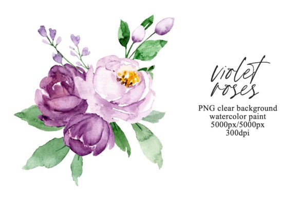 Download Watercolor Violet Flowers Roses, PNG. - Watercolor Collection