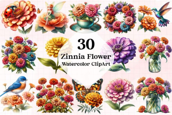 Download Zinnia Flower Watercolor Cliparts - Watercolor Collection