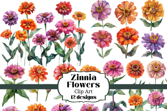 Download Watercolor Zinnia Flower Clip Art - Watercolor Collection