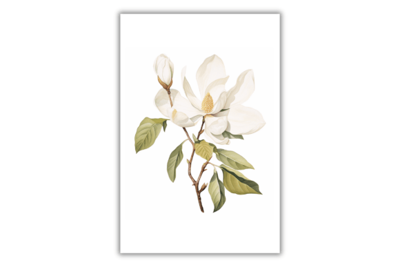 Download Watercolor Magnolia Flower- Art Print - Watercolor Collection
