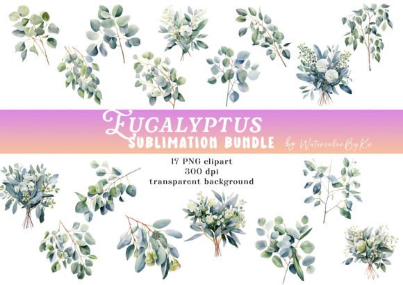 Download Watercolor Eucalyp Flower Bundle Clipart - Watercolor Collection