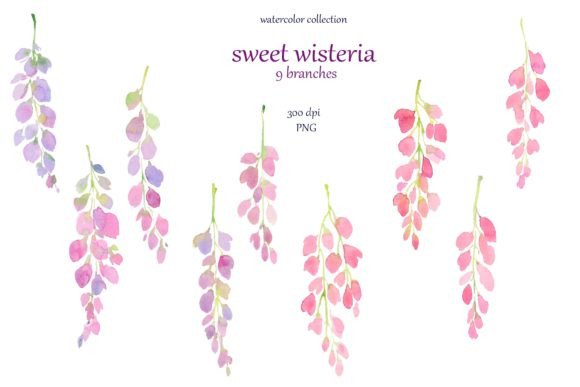 Download Violet Pink Wisteria , Watercolor - Watercolor Collection