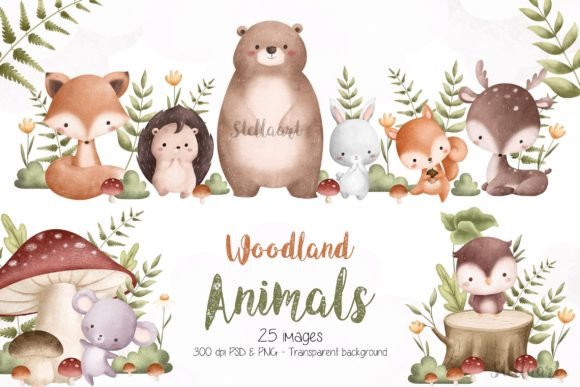 Download Woodland Animals Watercolor Illustration - Animals Collection