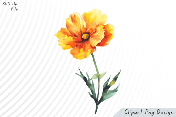 Download Watercolor Orange Yellow Flower PNG Clip - Watercolor Collection