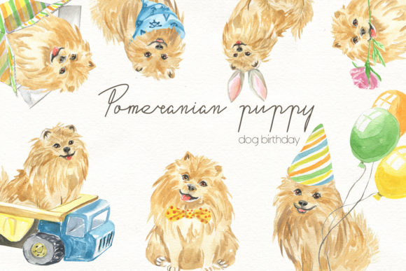 Download Watercolor Illustration of a Pomeranian - Watercolor Collection