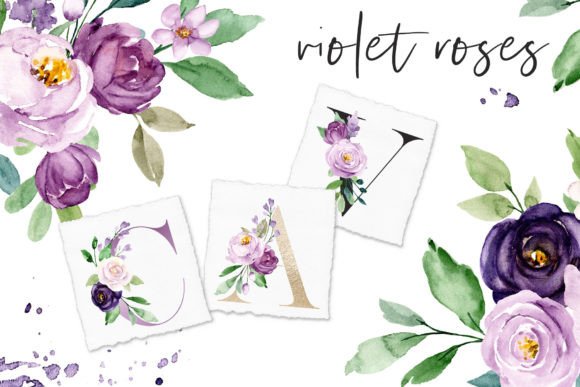 Download Watercolor Violet Flowers Roses - Watercolor Collection