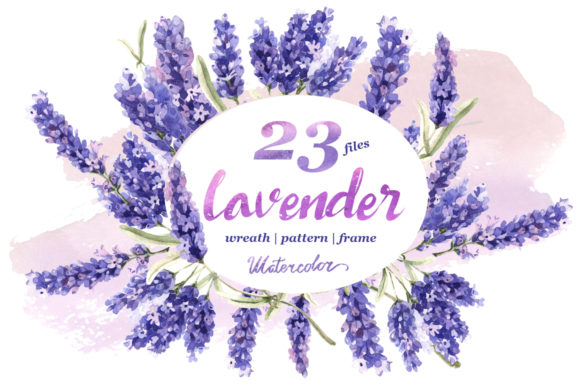 Download Lavender Flowers in Watercolor - Watercolor Collection