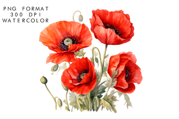 Download Watercolor Poppy Flower Clipart - Watercolor Collection