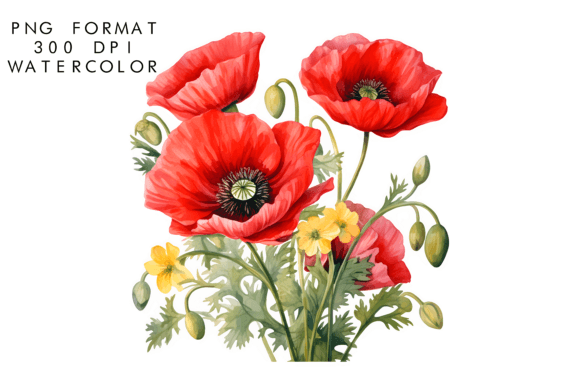Download Watercolor Poppy Flower Clipart - Watercolor Collection