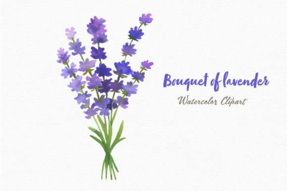 Download Lavender Flowers Watercolor Bouquet Png - Watercolor Collection