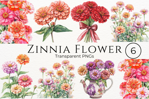 Download Zinnia Flower Watercolor Cliparts - Watercolor Collection