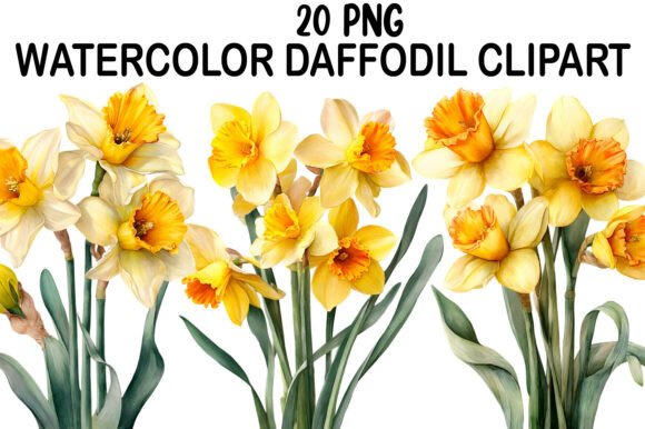 Download Watercolor Daffodil Clipart - Watercolor Collection