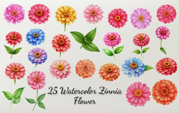Download 25 Watercolor Zinnia Flower - Watercolor Collection