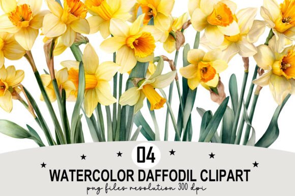 Download Watercolor Daffodil Clipart - Watercolor Collection