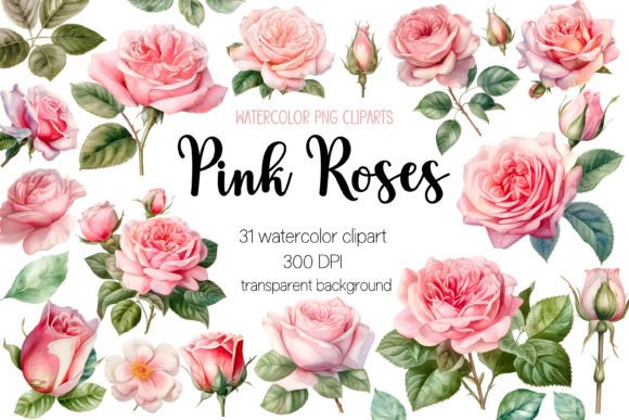 Download Pink Roses Watercolor Clipart Bundle - Watercolor Collection
