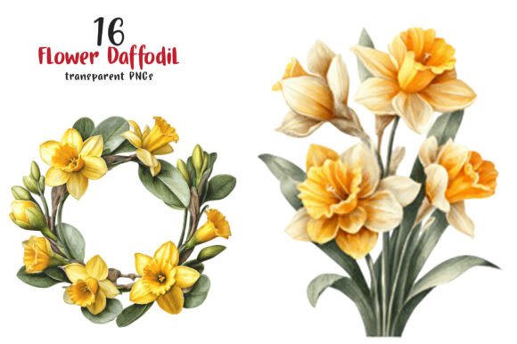Download Watercolor Flower Daffodil Clipart - Watercolor Collection