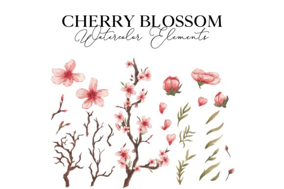 Download Cherry Blossom Watercolor Illustration - Watercolor Collection