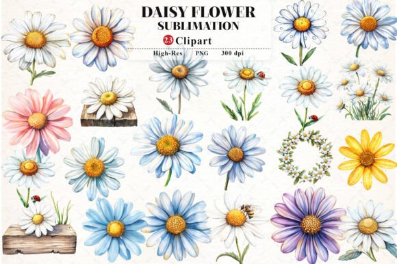 Download Daisy Flower Watercolor Cliparts - Watercolor Collection