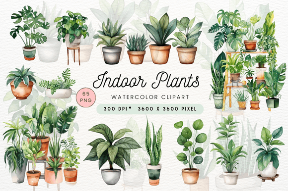 Download Watercolor Indoor Plants Clipart - Watercolor Collection