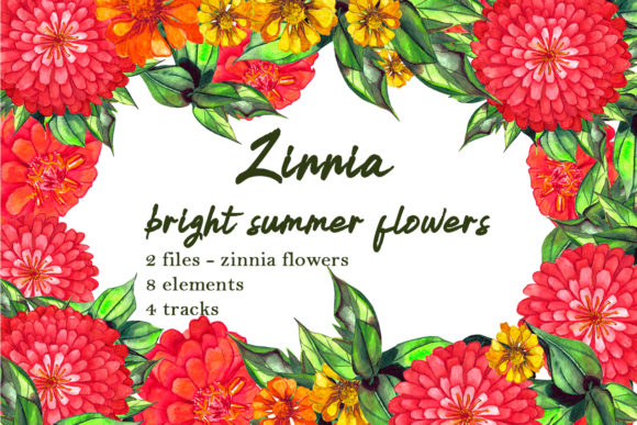 Download Watercolor Zinnia Set of Clip Art - Watercolor Collection