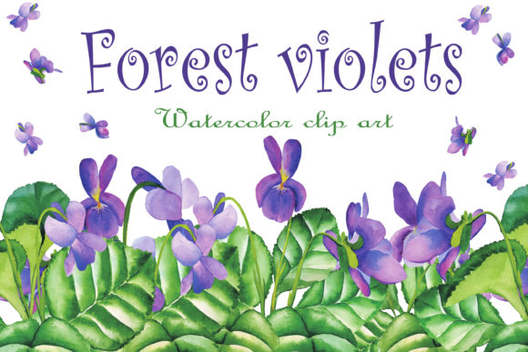Download Violet Wild Flowers Watercolor Clipart - Watercolor Collection