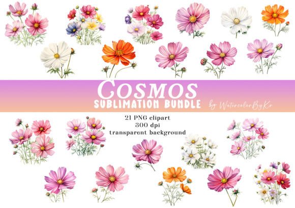 Download Watercolor Cosmos Flower Bundle Clipart - Watercolor Collection