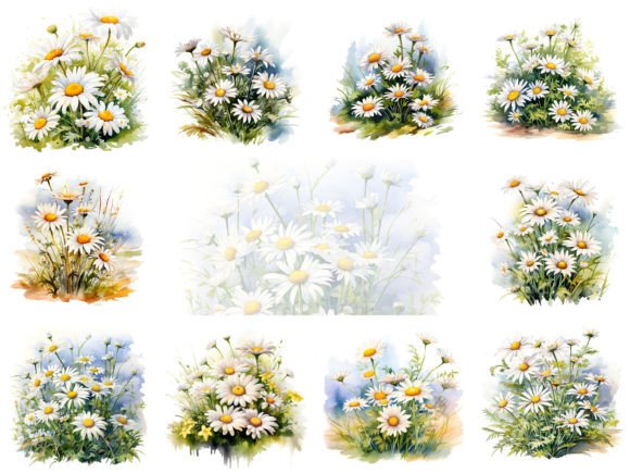 Download Daisies Watercolor Clipart Images Set - Daisies Collection