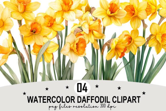 Download Watercolor Daffodil Clipart - Watercolor Collection
