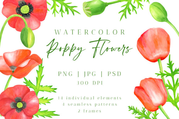 Download Red Poppy Flower Watercolor PNG Cliparts - Watercolor Collection