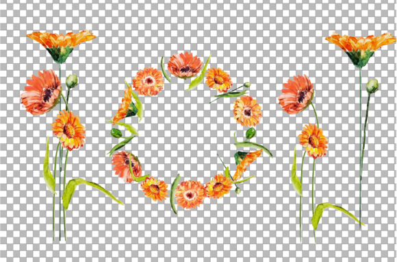Download Watercolor Flower Bouquet and Frame Clip - Watercolor Collection