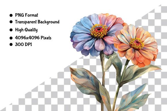 Download Watercolor Zinnia Flower PNG Clipart - Watercolor Collection
