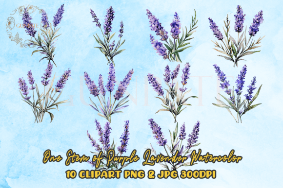 Download One Stem of Purple Lavender Watercolor - Watercolor Collection