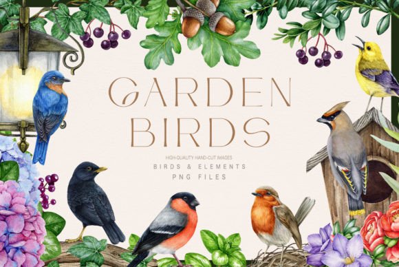 Download Garden Birds Watercolor Illustration Set - Watercolor Collection
