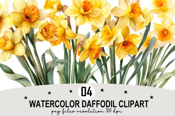 Download Watercolor Daffodil Clipart - Watercolor Collection